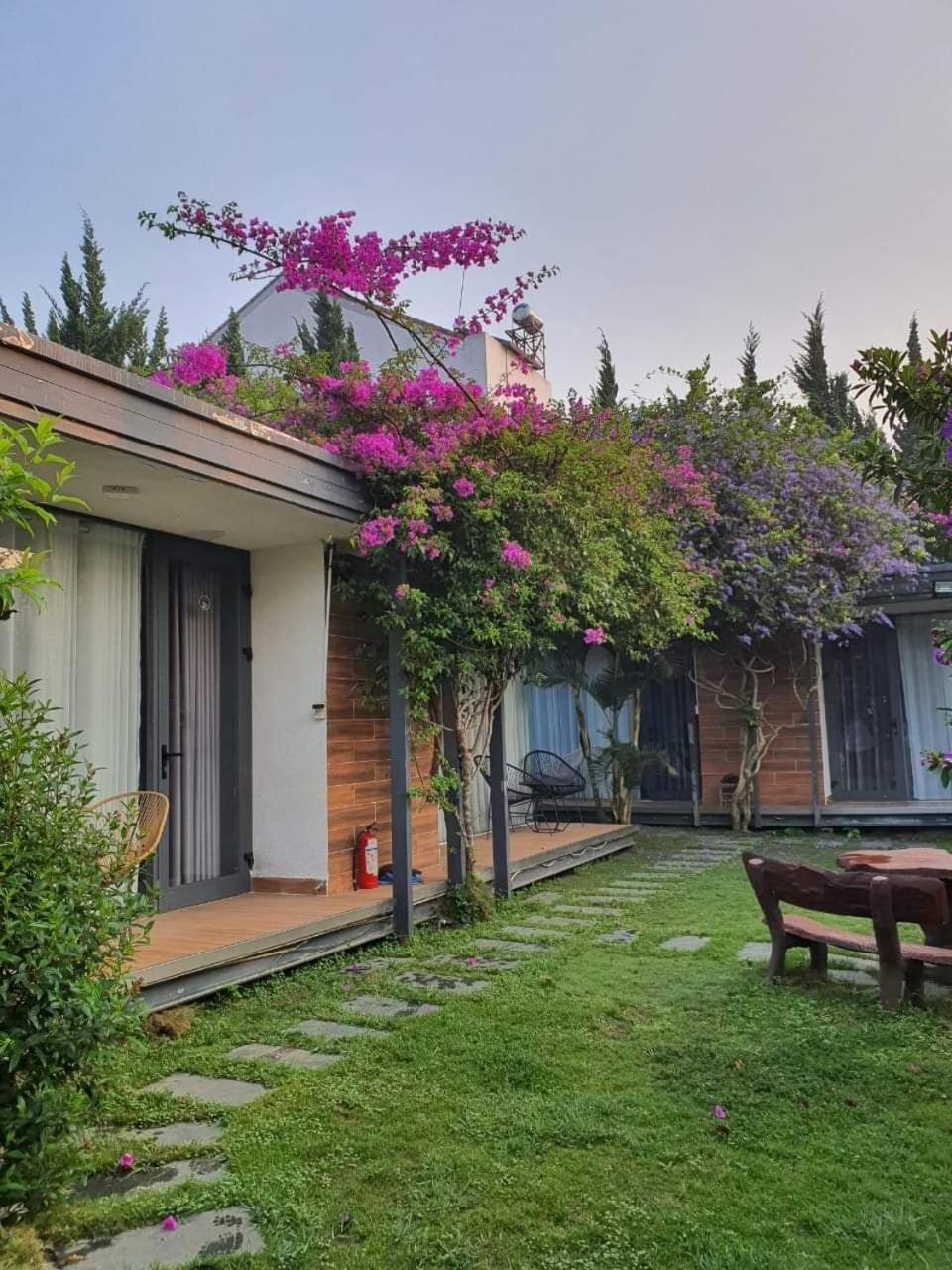 Perfect Homestay Νταλάτ Εξωτερικό φωτογραφία
